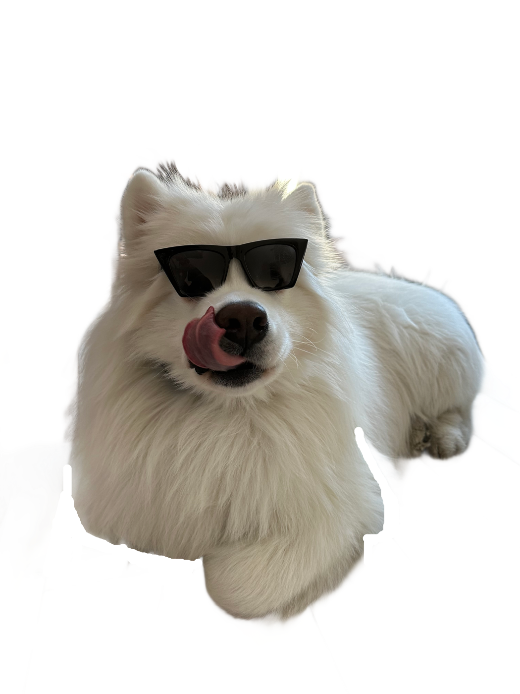 Schneeski